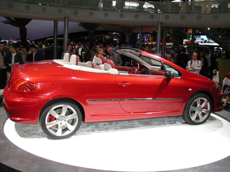 /photo/PEUGEOT-307-cc-399.jpg