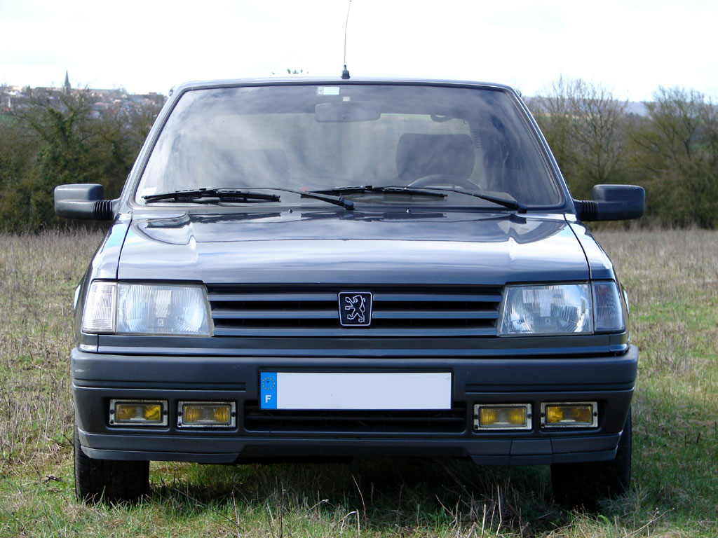 /photo/PEUGEOT-309-gti16-1336.jpg