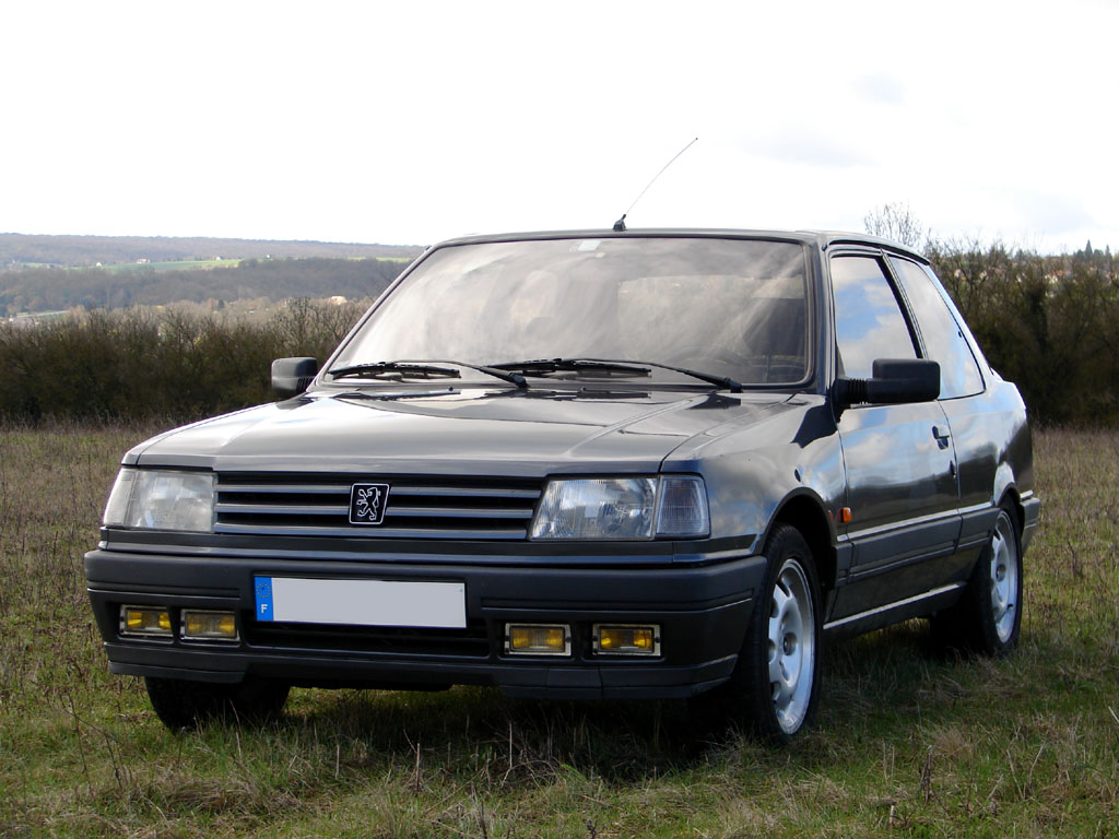 /photo/PEUGEOT-309-gti16-1339.jpg